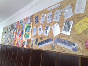 050320101529_800x600