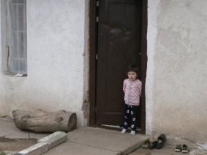 13102898_1115295111827050_7537950797425284811_n_800x600-1