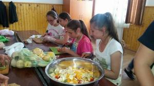 13288231_1216369031715529_1688042738_o