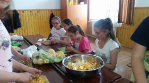 13324418_1216369148382184_27483076_o