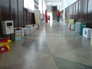 cosuri-eco-2_800x600