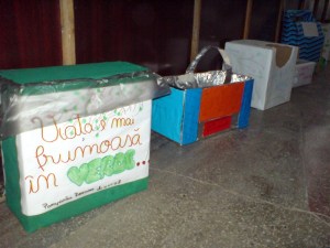 cosuri-eco-3_800x600