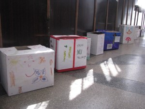 cosuri-eco-7_800x600