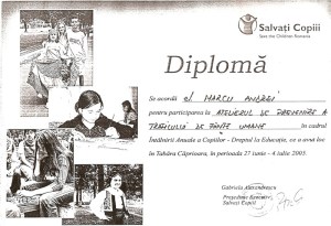 diplome-ddd-6_800x547