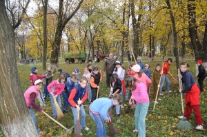 e-activitati-eco_800x531