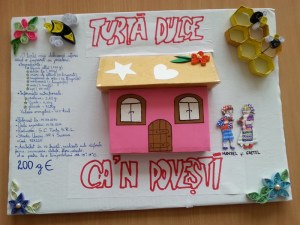 e-imagini-cu-activitati-practice-si-produse-realizate-de-elevi-120_800x600