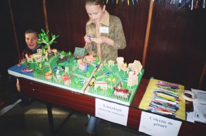 e-imagini-cu-activitati-practice-si-produse-realizate-de-elevi-1_800x533