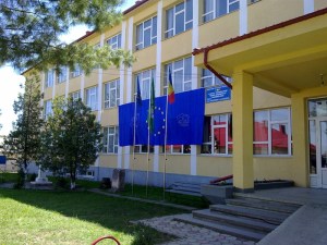 e-imagini-cu-activitati-practice-si-produse-realizate-de-elevi-51_800x600