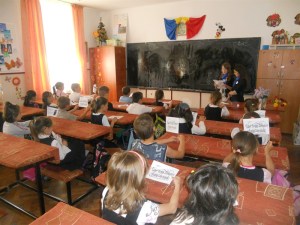 e-imagini-cu-activitati-practice-si-produse-realizate-de-elevi-58_800x600