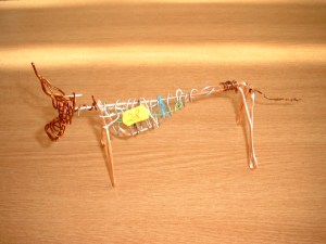 Medion DIGITAL CAMERA