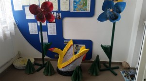 20160115_130627_800x450