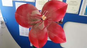 20160115_130846_800x450