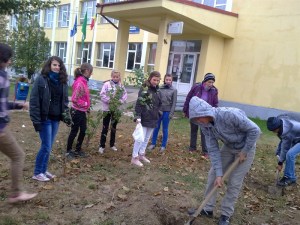 291020121231_800x600