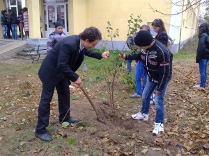 291020121236_800x600