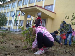 291020121249_800x600