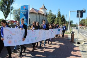 desen-final-29_800x533