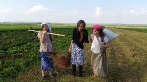 13282785_1216375365048229_752334688_o