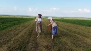 13313359_1216373608381738_201499913_o