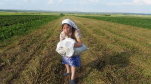 13313382_1216373245048441_487113419_o