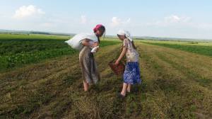 13313428_1216373681715064_1470623440_o