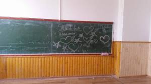 13313685_1216368995048866_1020258474_o