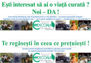 bener-eco-scoala-1_800x557