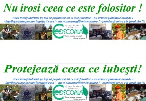 bener-eco-scoala-2_800x557