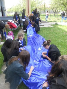 e-imagini-cu-activitati-practice-si-produse-realizate-de-elevi-55_600x800