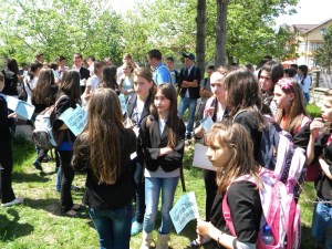 e-imagini-cu-activitati-practice-si-produse-realizate-de-elevi-64_800x600