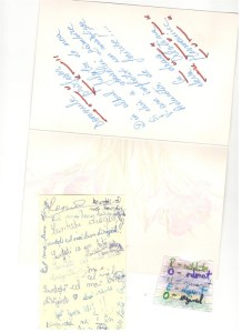 feedback-copii-gtp-site-romeo0001_581x800