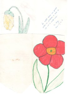 feedback-copii-gtp-site-romeo0009_581x800