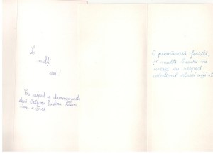 feedback-copii-gtp-site-romeo0015_800x581