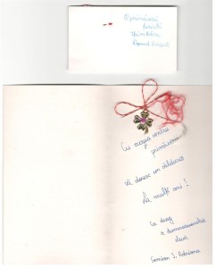 feedback-copii-gtp-site-romeo0027_644x800