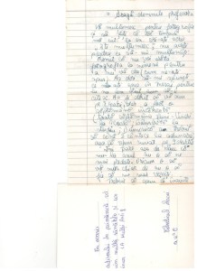 feedback-copii-gtp-site-romeo0033_581x800