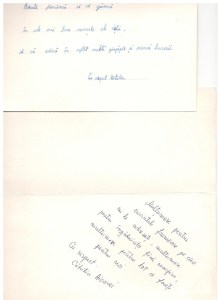 feedback-copii-gtp-site-romeo0041_581x800