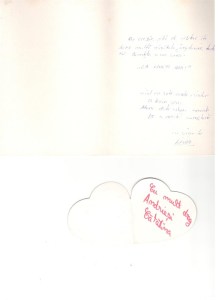 feedback-copii-gtp-site-romeo0045_581x800