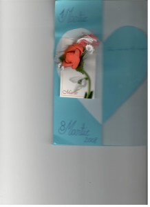 feedback-copii-gtp-site-romeo0048_581x800