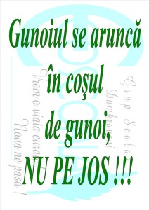 gunoiul_565x800
