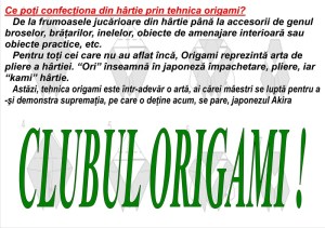 origami-si-diverse_800x565