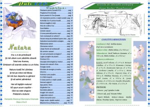 puls-eco-nr-2-si-3-2010-h_800x571