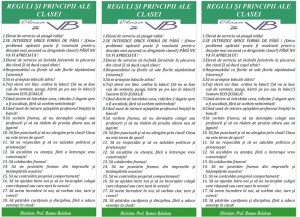 reguli-si-responsabilitatile-elevilor-vi-b-2012-4_800x579