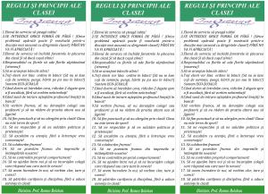 reguli-si-responsabilitatile-elevilor-v-bsv-2