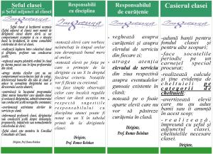 reguli-si-responsabilitatile-elevilor-v-bsv